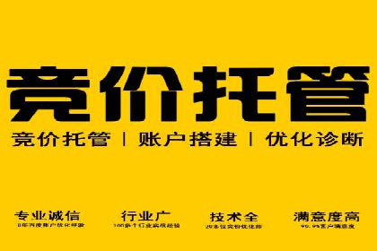 竞价托管SEM策略：提升网站流量与转化